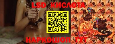 прущие грибы Анапа