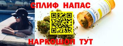 прущие грибы Анапа