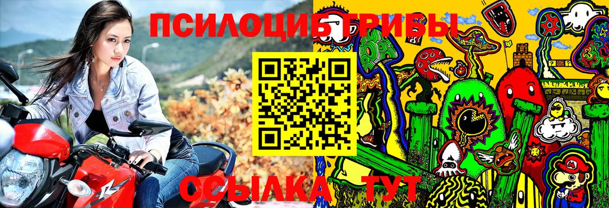 Псилоцибиновые грибы Psilocybine cubensis  Псилоцибиновые грибы MAGIC MUSHROOMS  Железноводск  Вход с VPN 